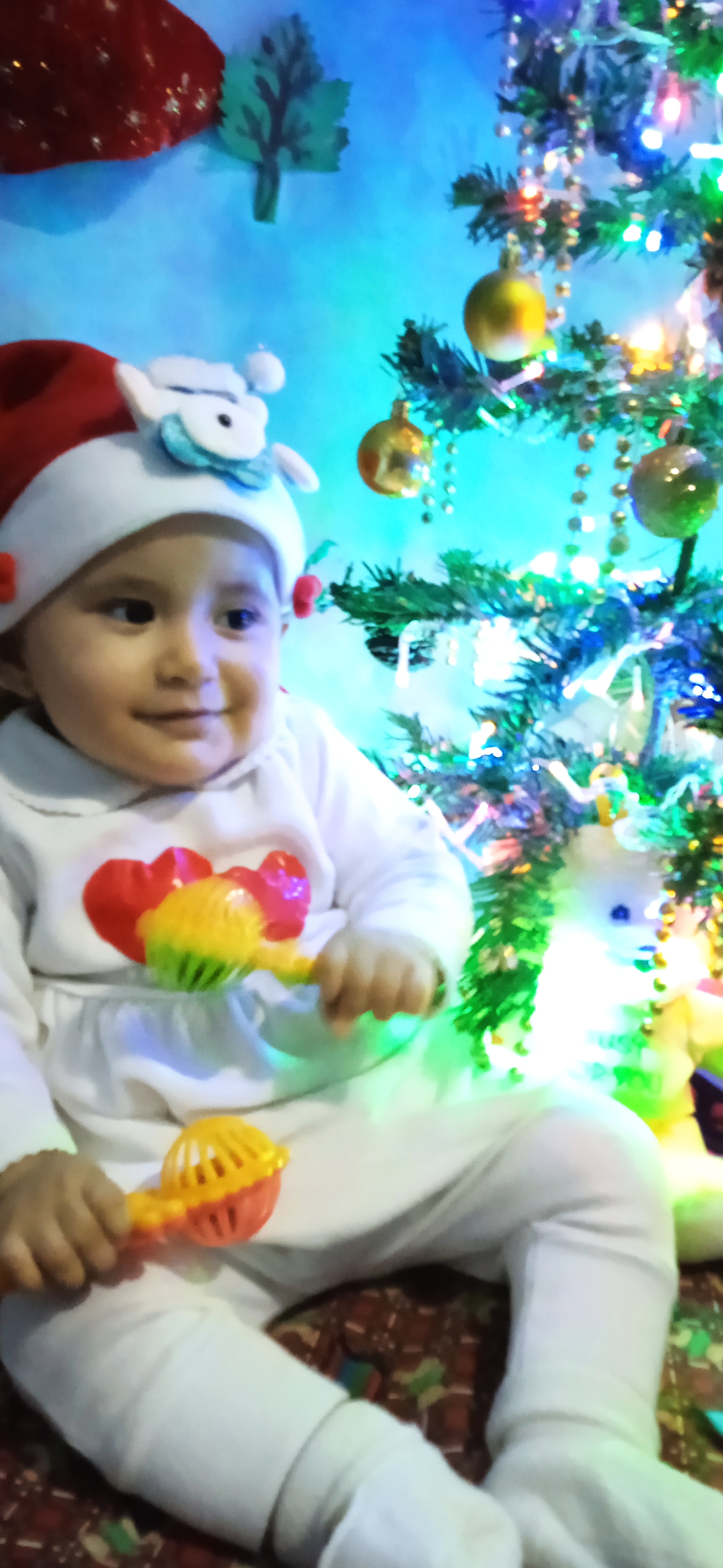  "IMG_20231208_164523.jpg"