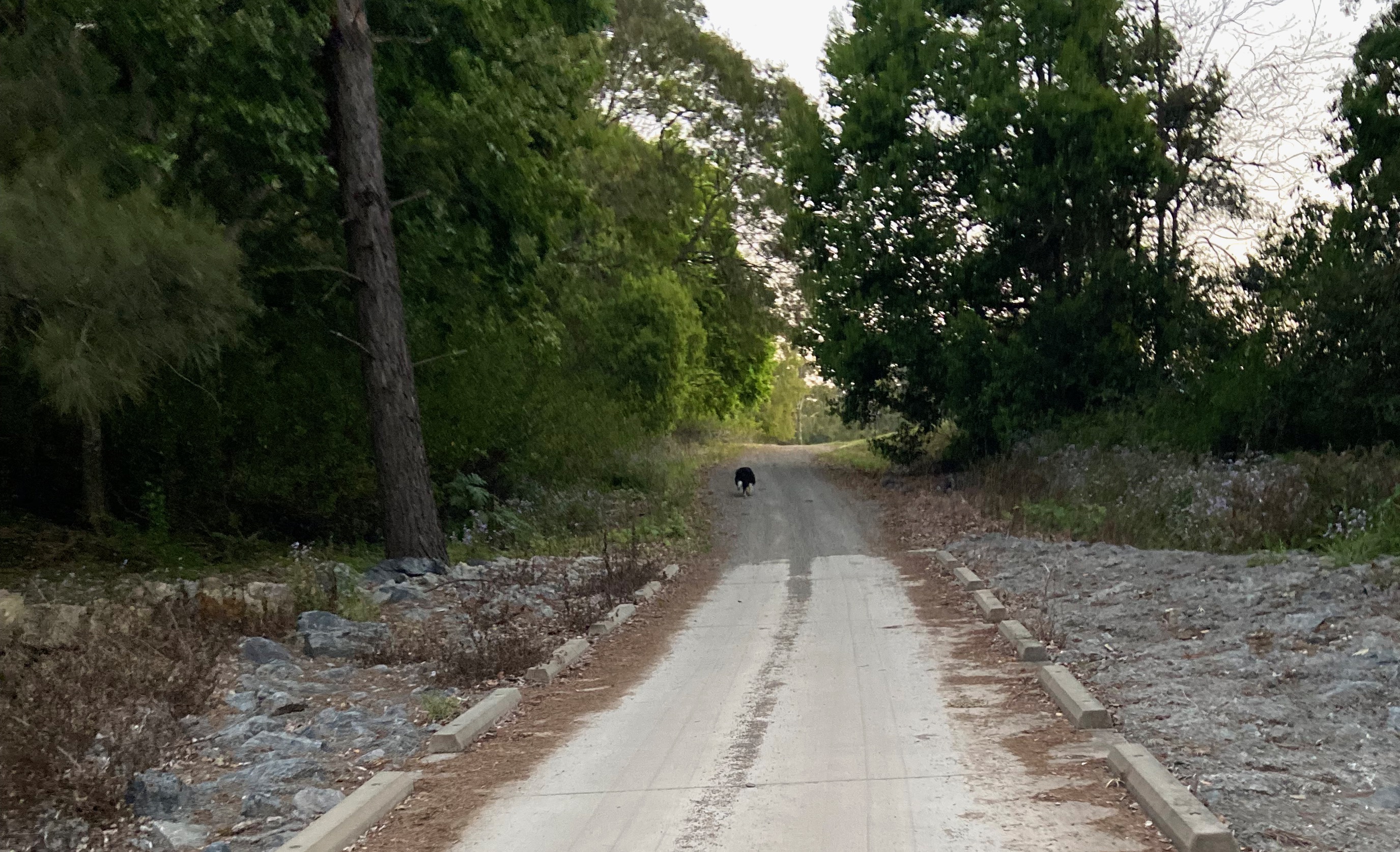 All Photos - 1 of 1 (7).jpeg