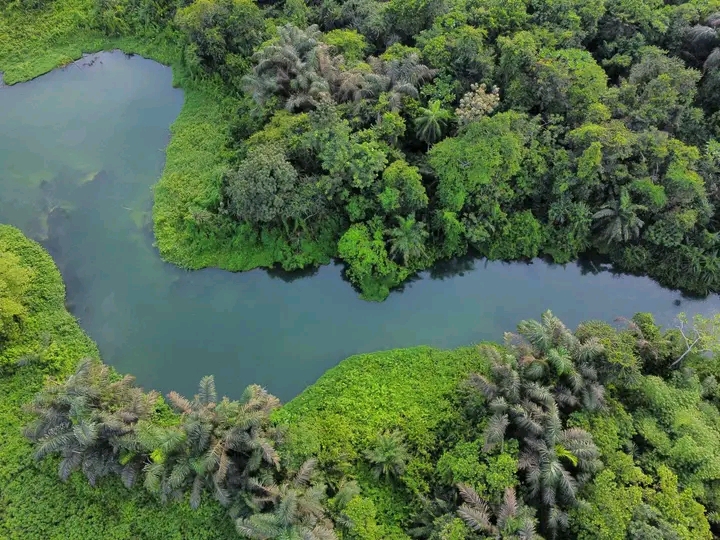 Azumini_Blue_River_in_Abia_state,_Nigeria._A_nice_place_to_visit.jpg