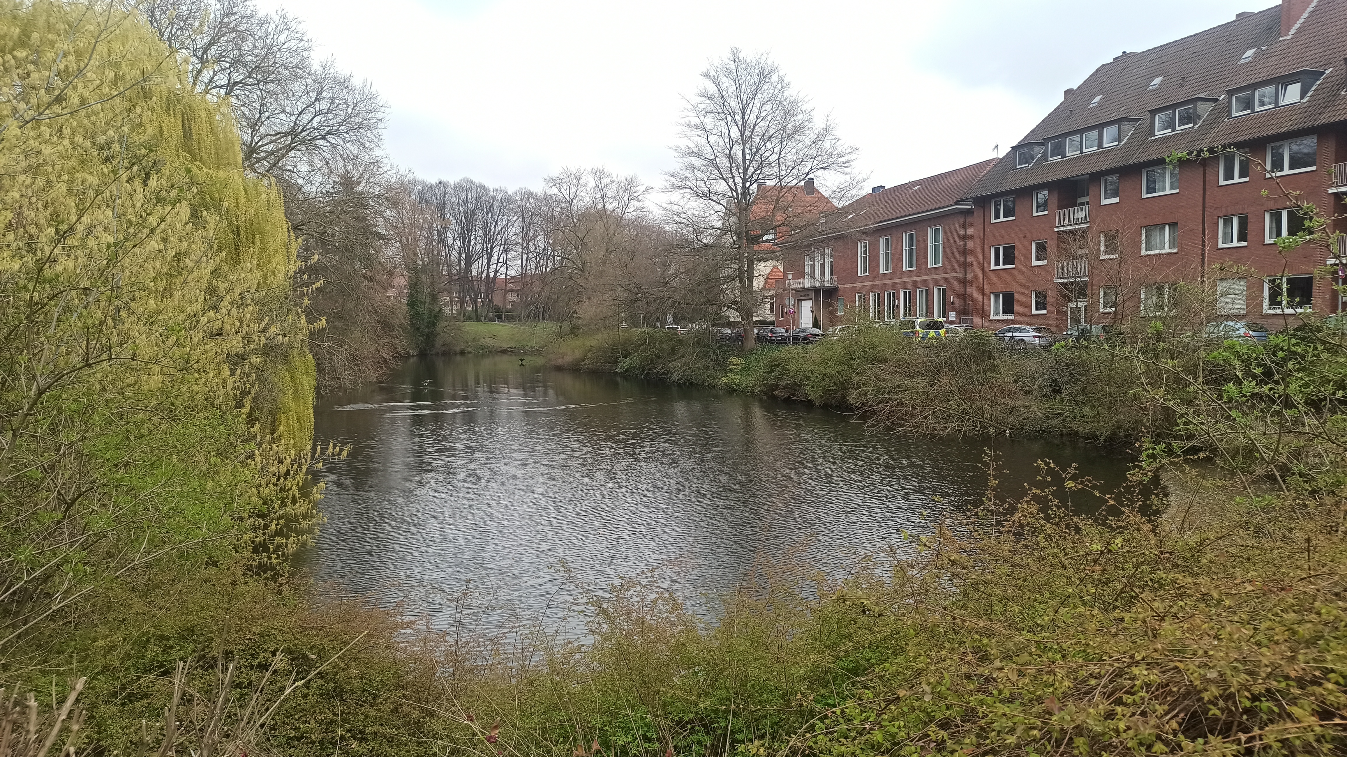 IMG_20220331_151541.jpg