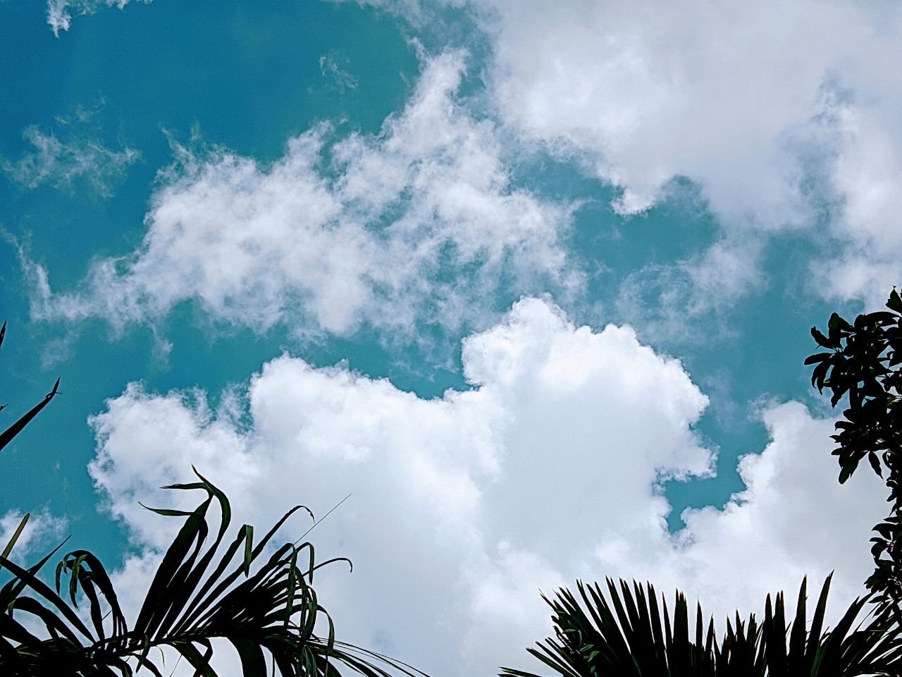32FTXiZsHoAW6noHJDhrg3W8ZKHVFSsLYM859aTDCF8iErGecSDmYecjvnCBWSwmGist6tjtN9DdSkDBjZugNoPjS5WKc8ppqBZsHHtuVmwov57csF7EpLjGJZ2JerS15v2mZfnWmPN5LrCn.jpeg