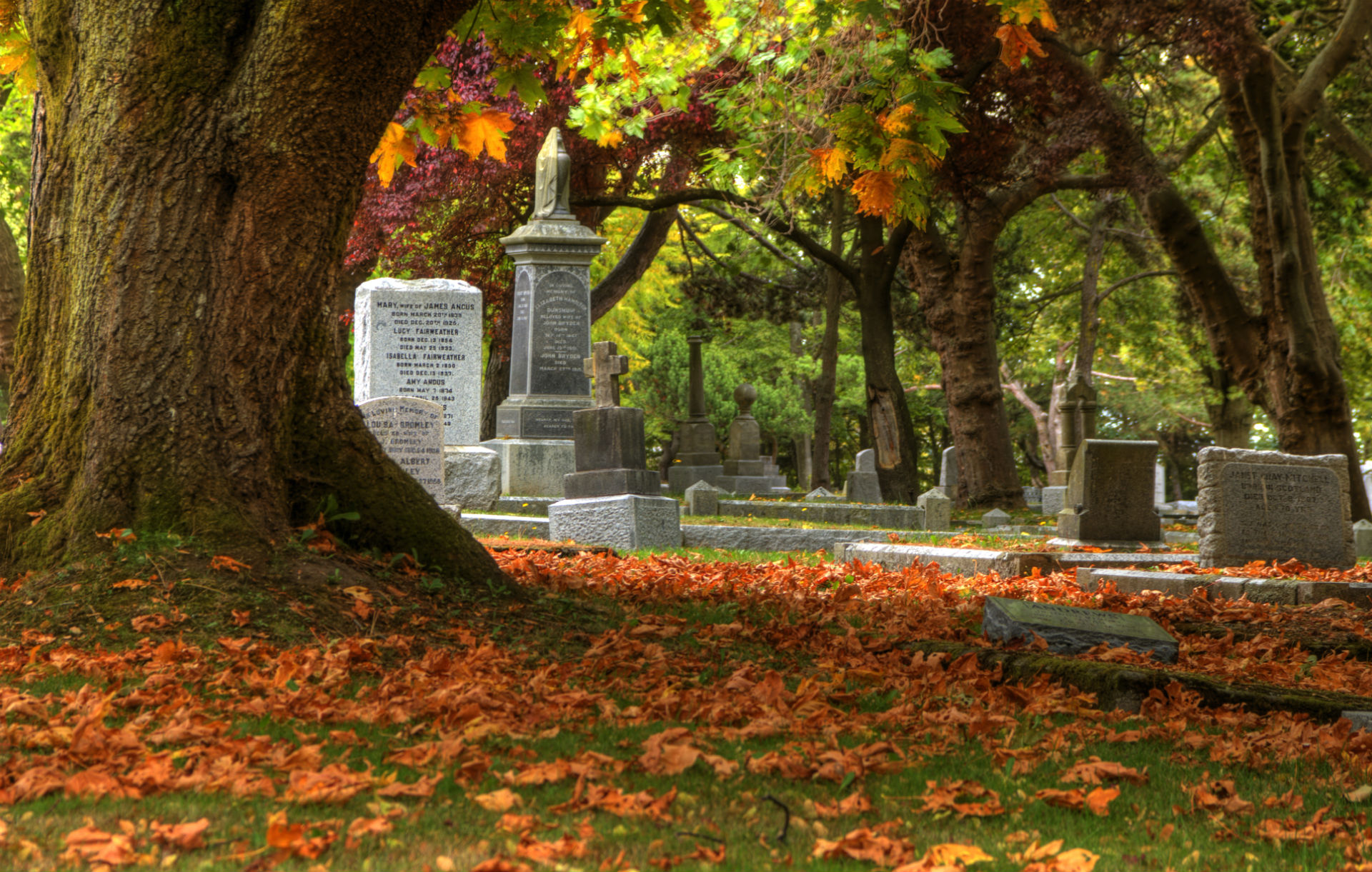  "cemetery photo.jpg"