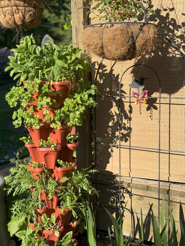 hivegarden-herb-tower.jpg