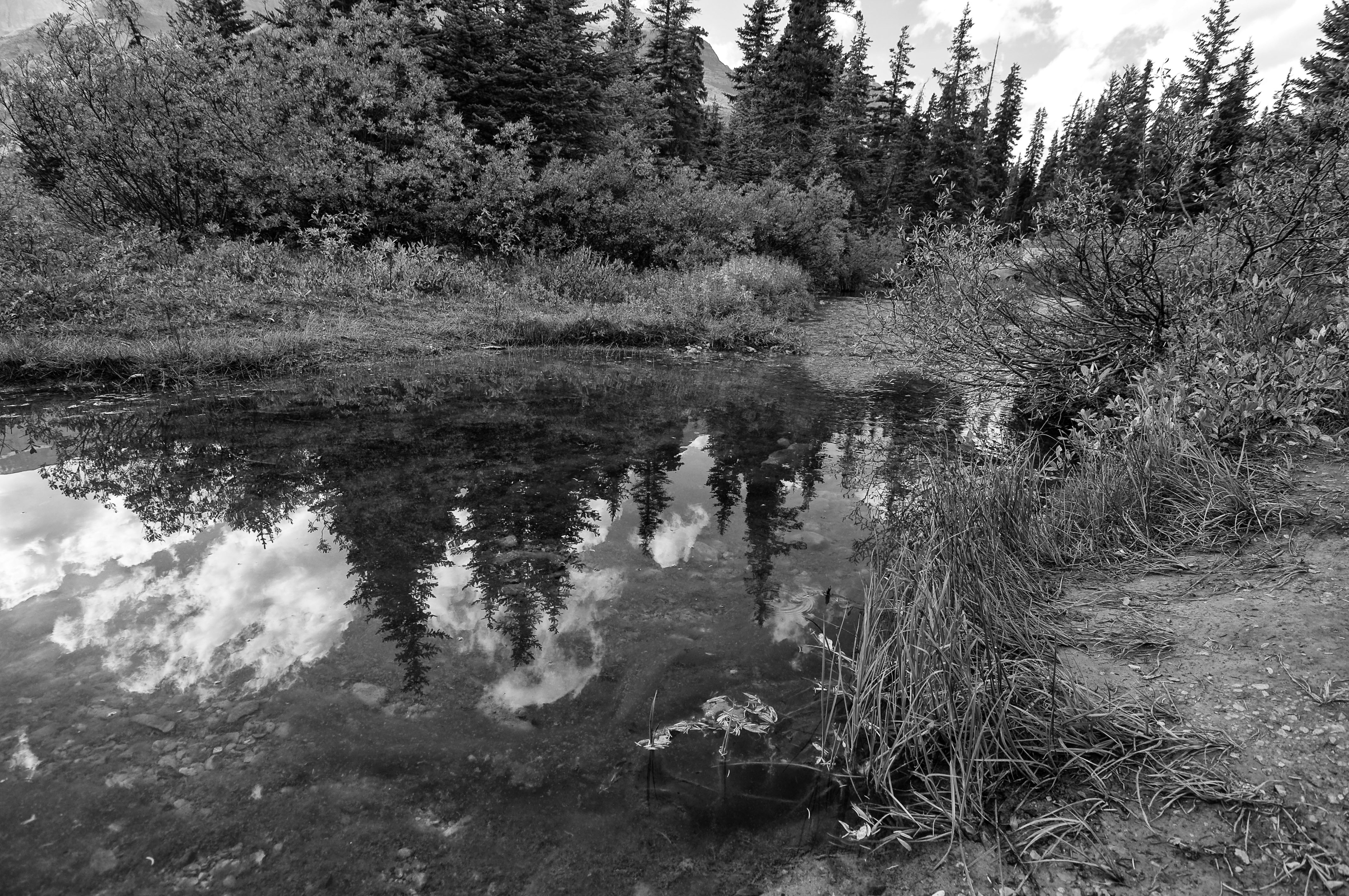 Sept 2011 Banff jasper trip-0152 - Copy-Edit.jpg