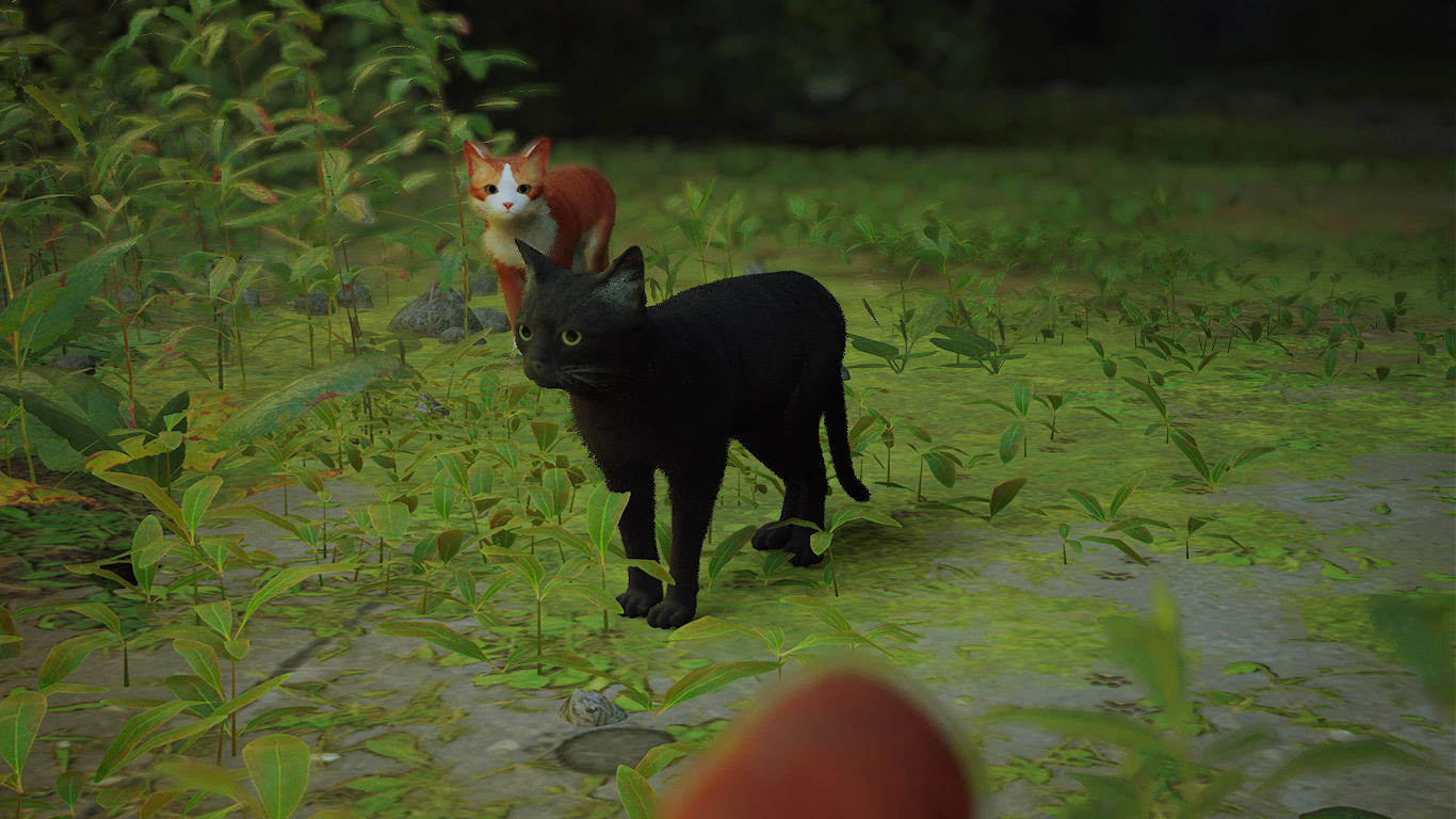 5.png