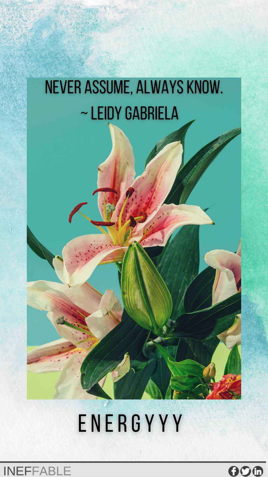 Leidy Gabriela's cover