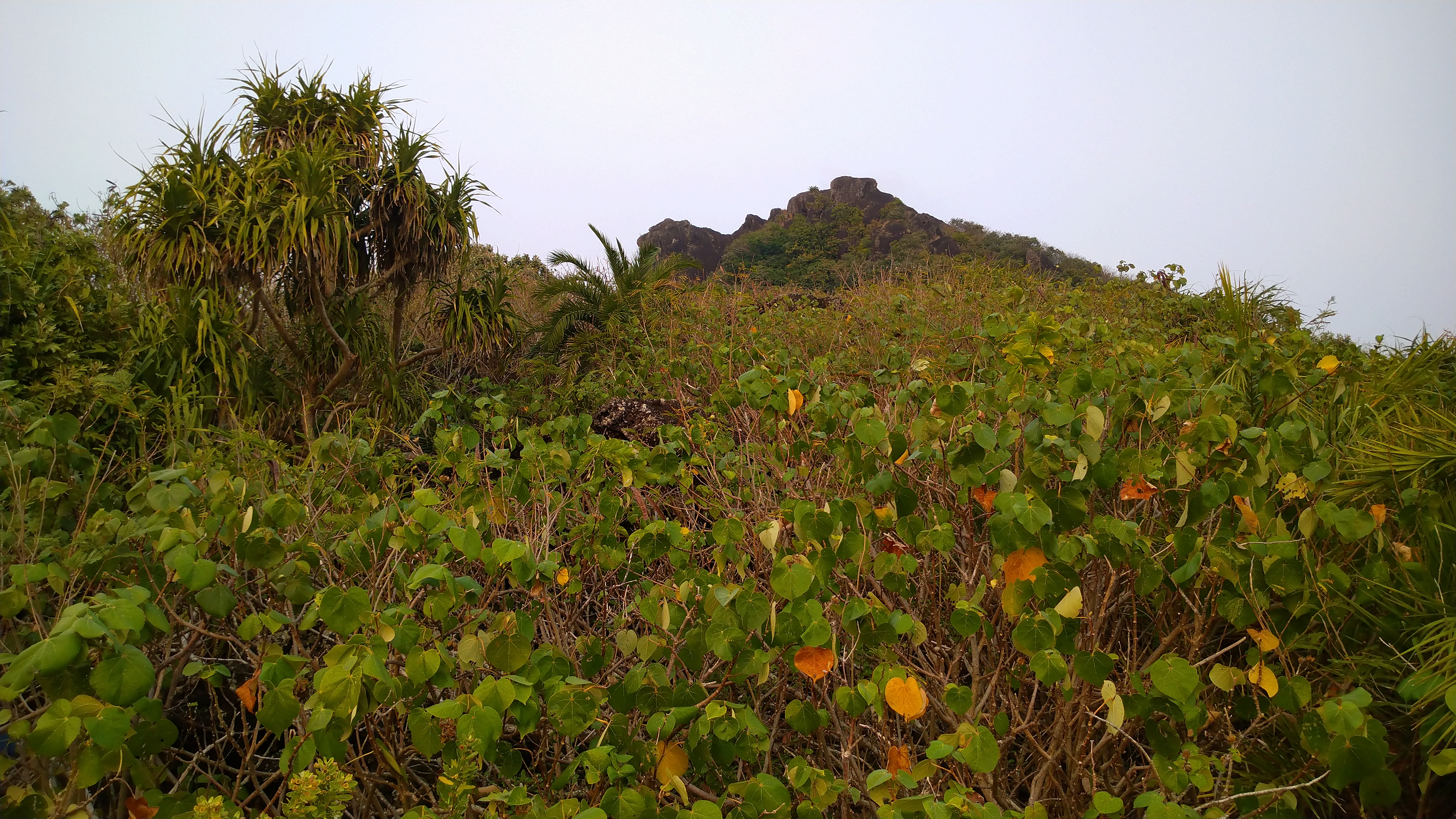 DSC_7986.JPG