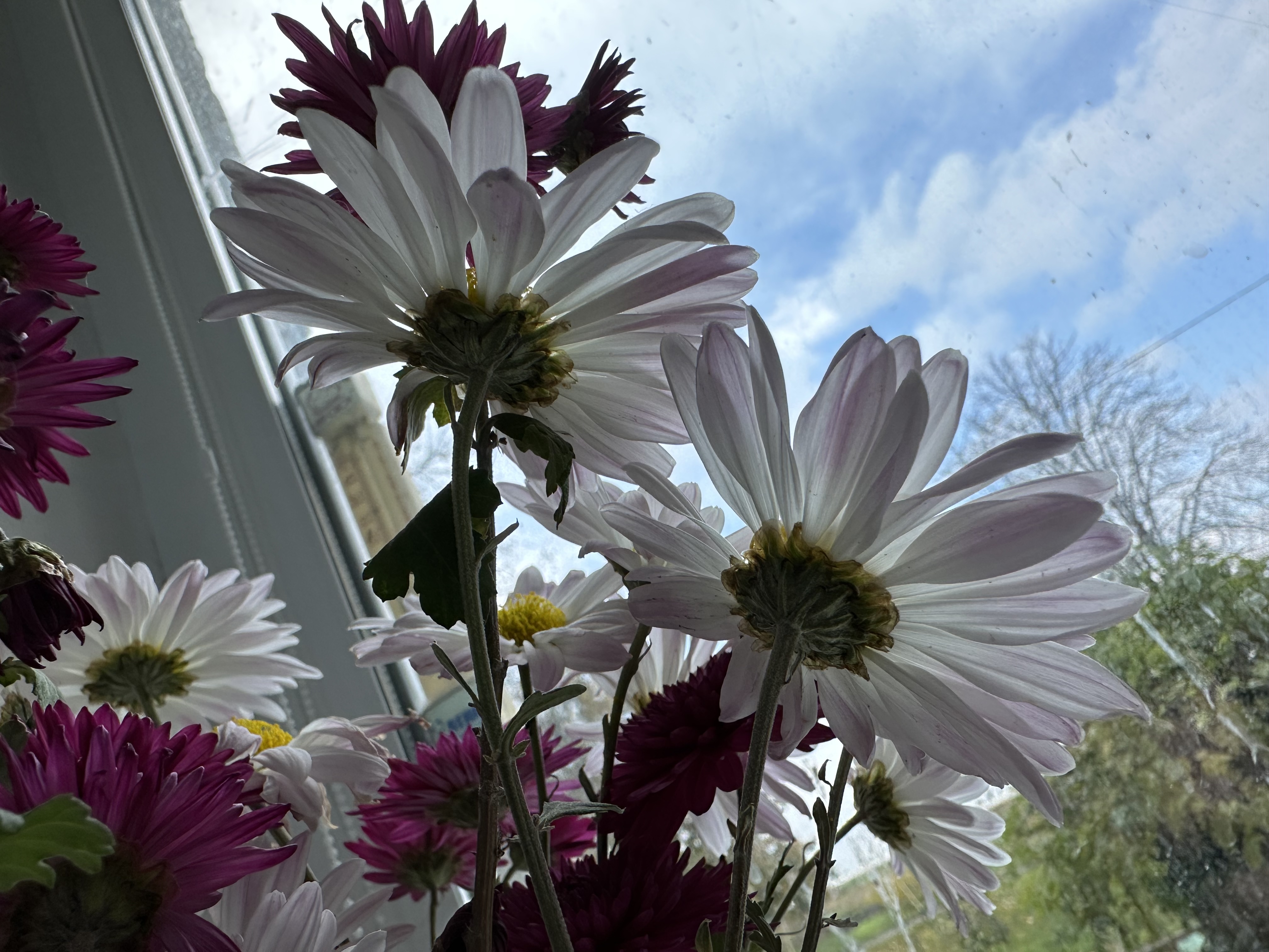 1B163CF5-0280-41B6-89B1-852E8CE5FC39.jpeg