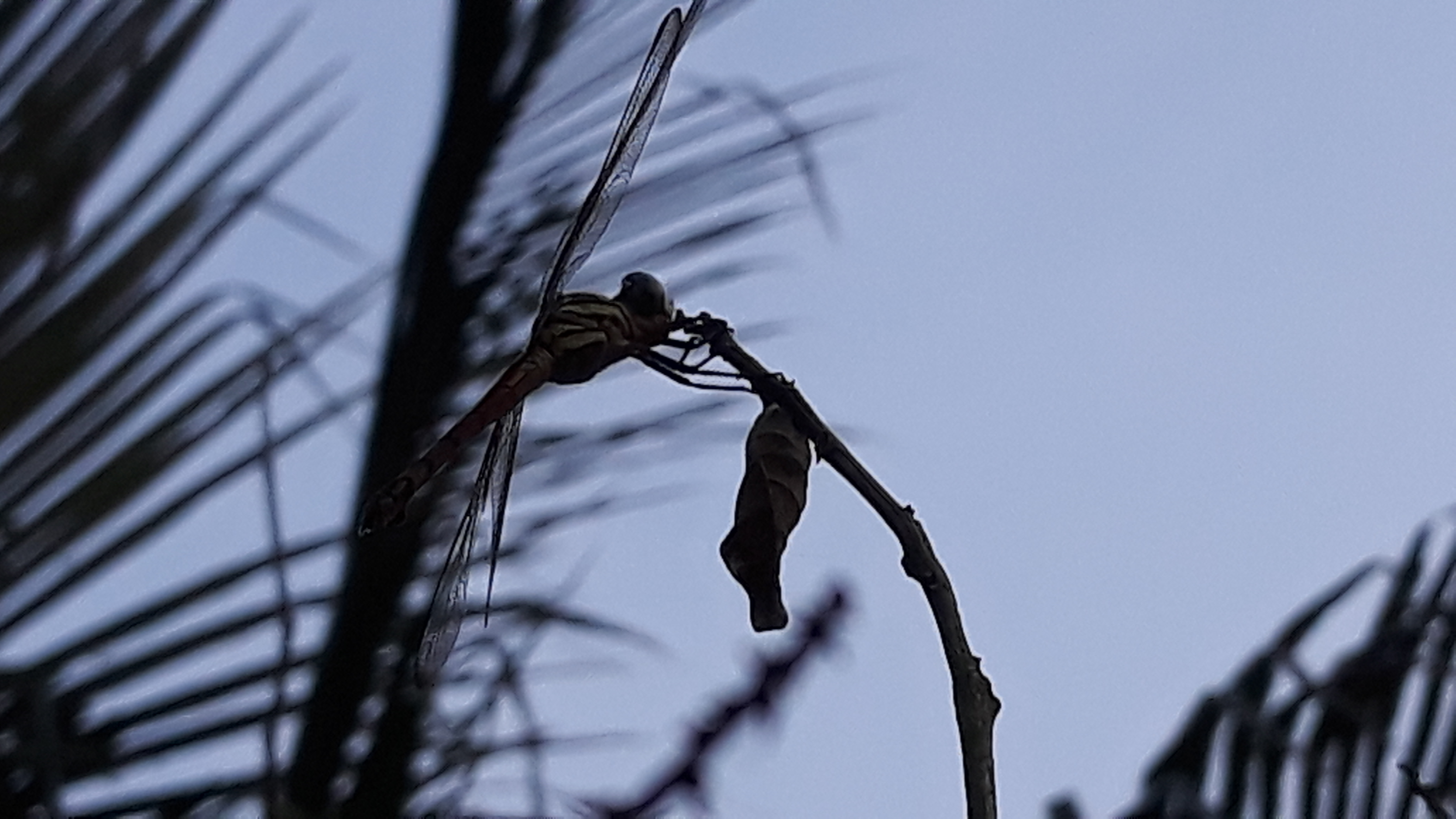 20250204_184143.jpg