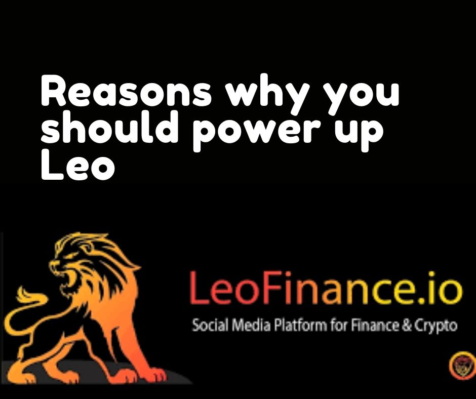 @melbourneswest/reasons-why-you-should-power-up-leo