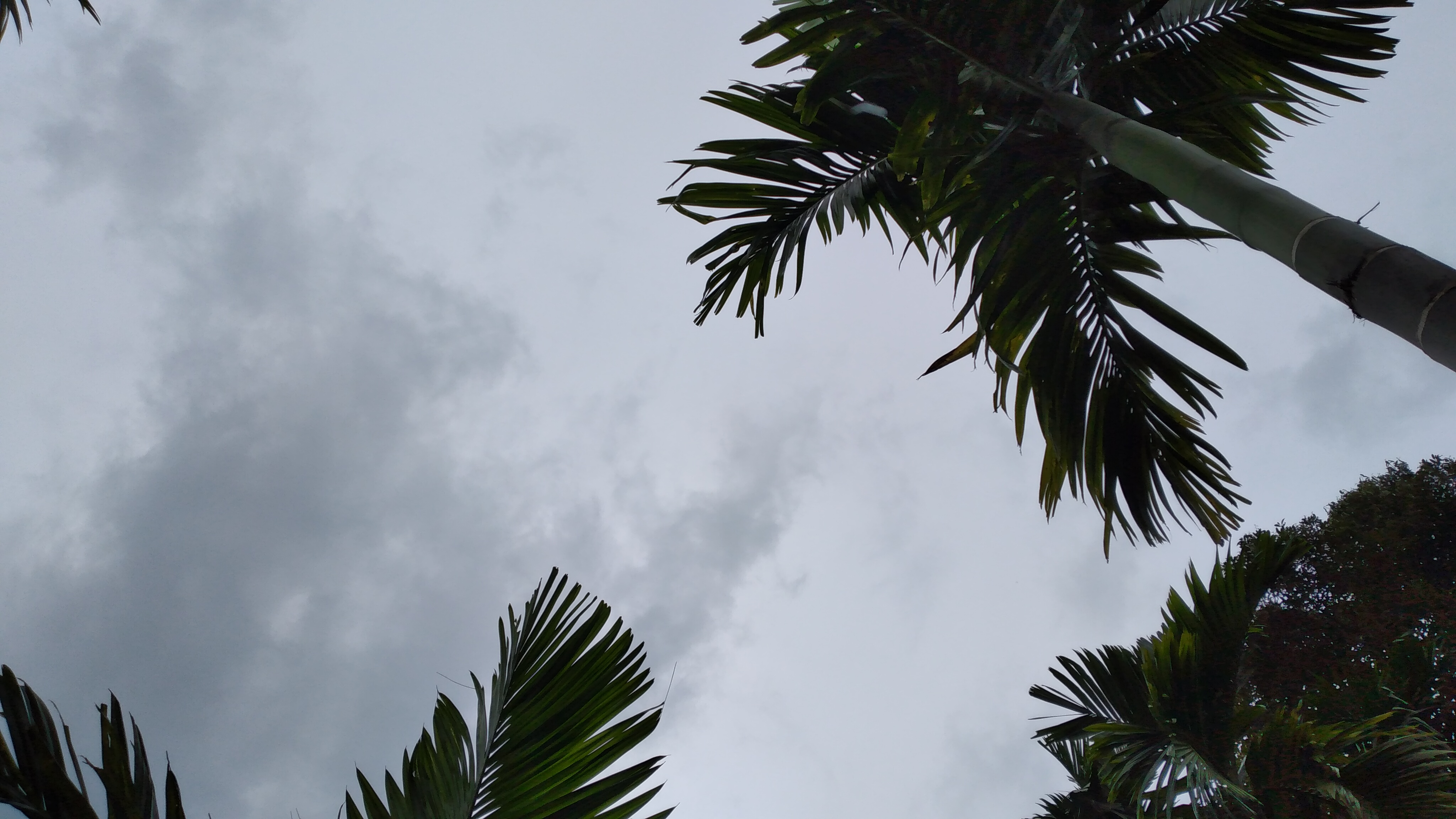 20220911_155842.jpg