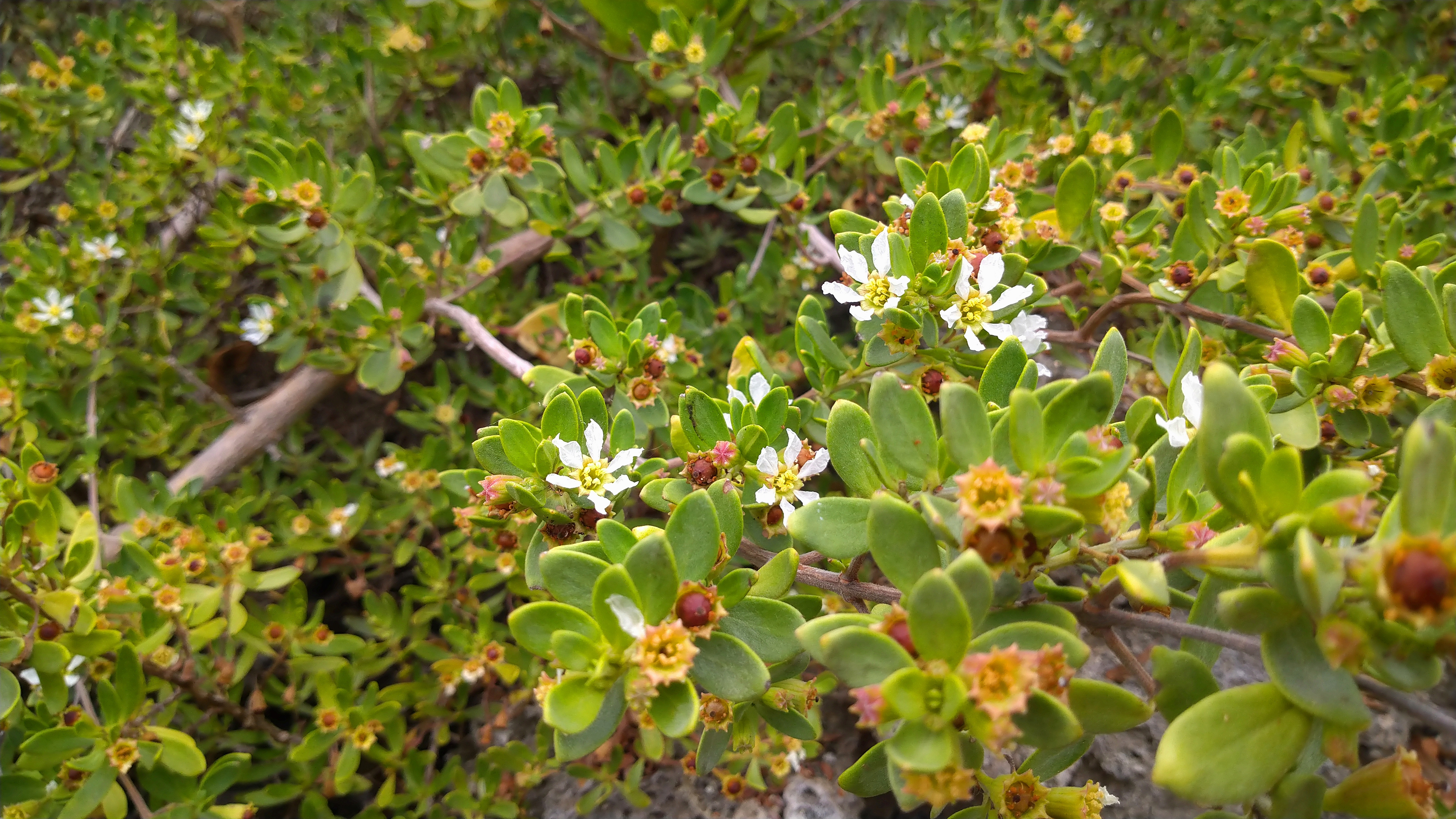 DSC_8133.JPG