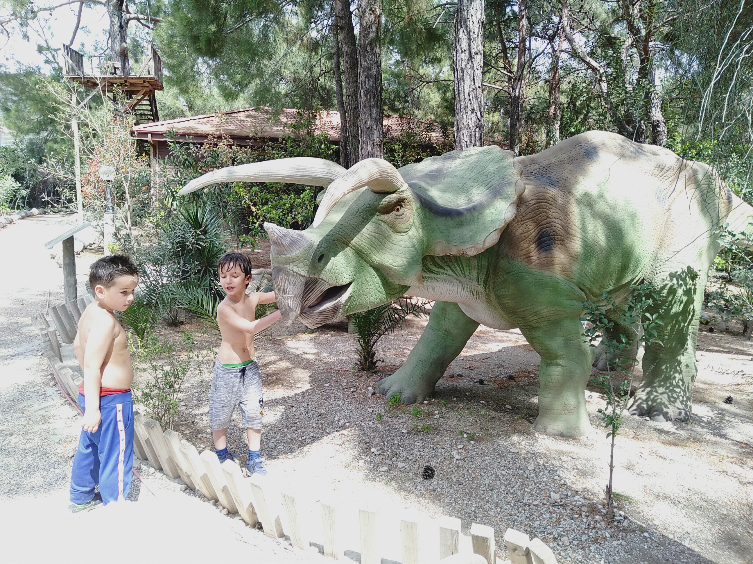 IMG20220416141625.jpg