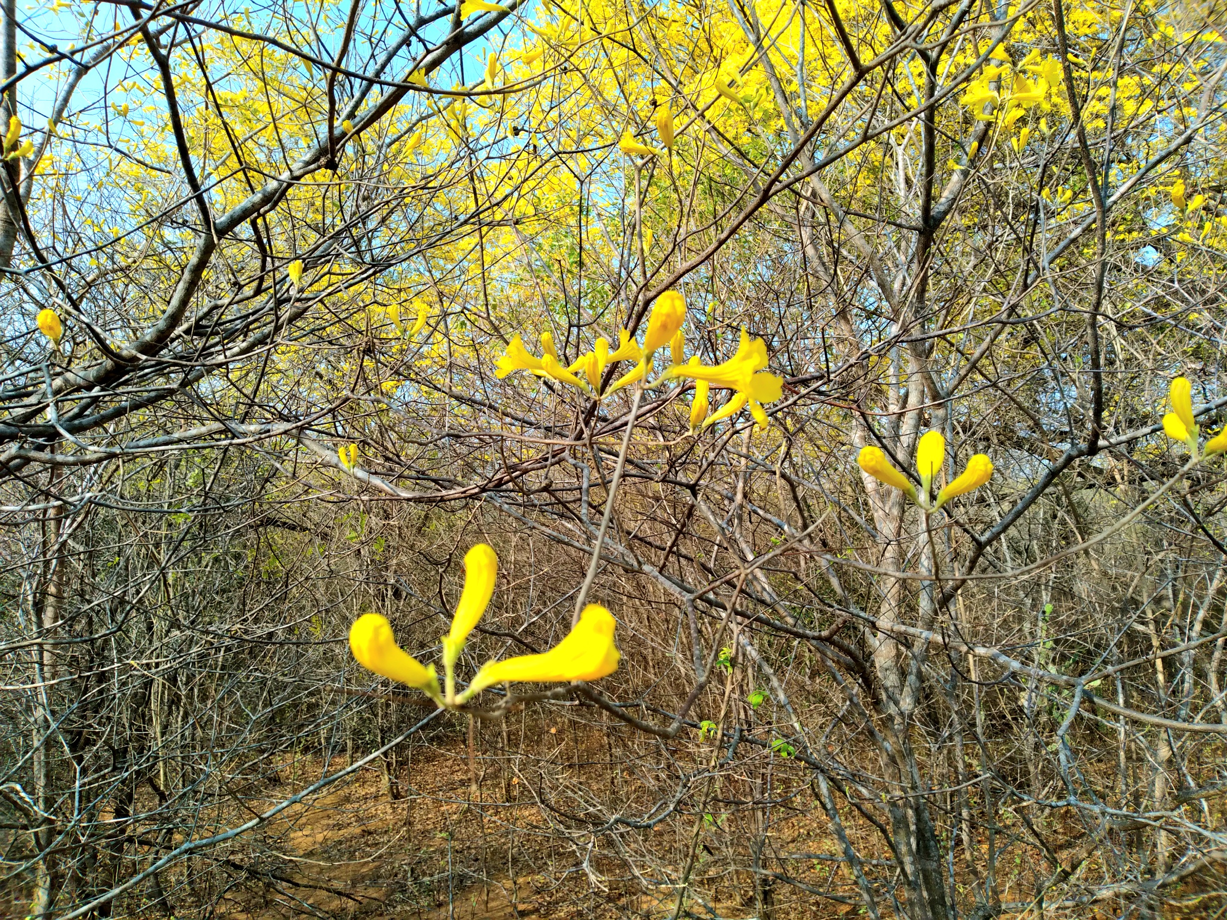 20250321_090243.jpg