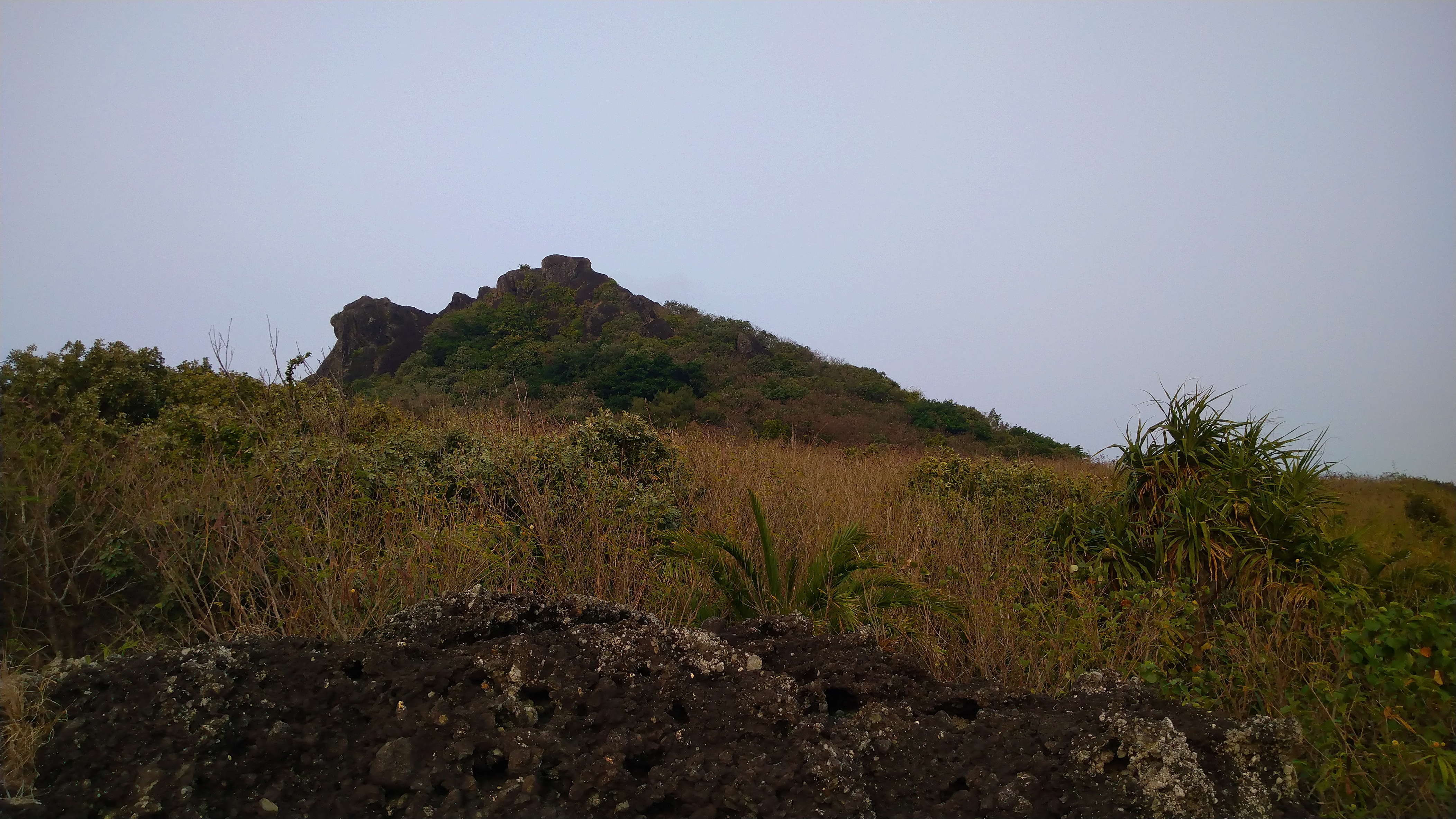 DSC_7989.JPG