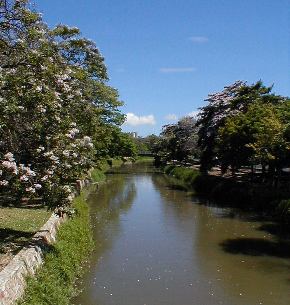 Rio_manzanares.jpg