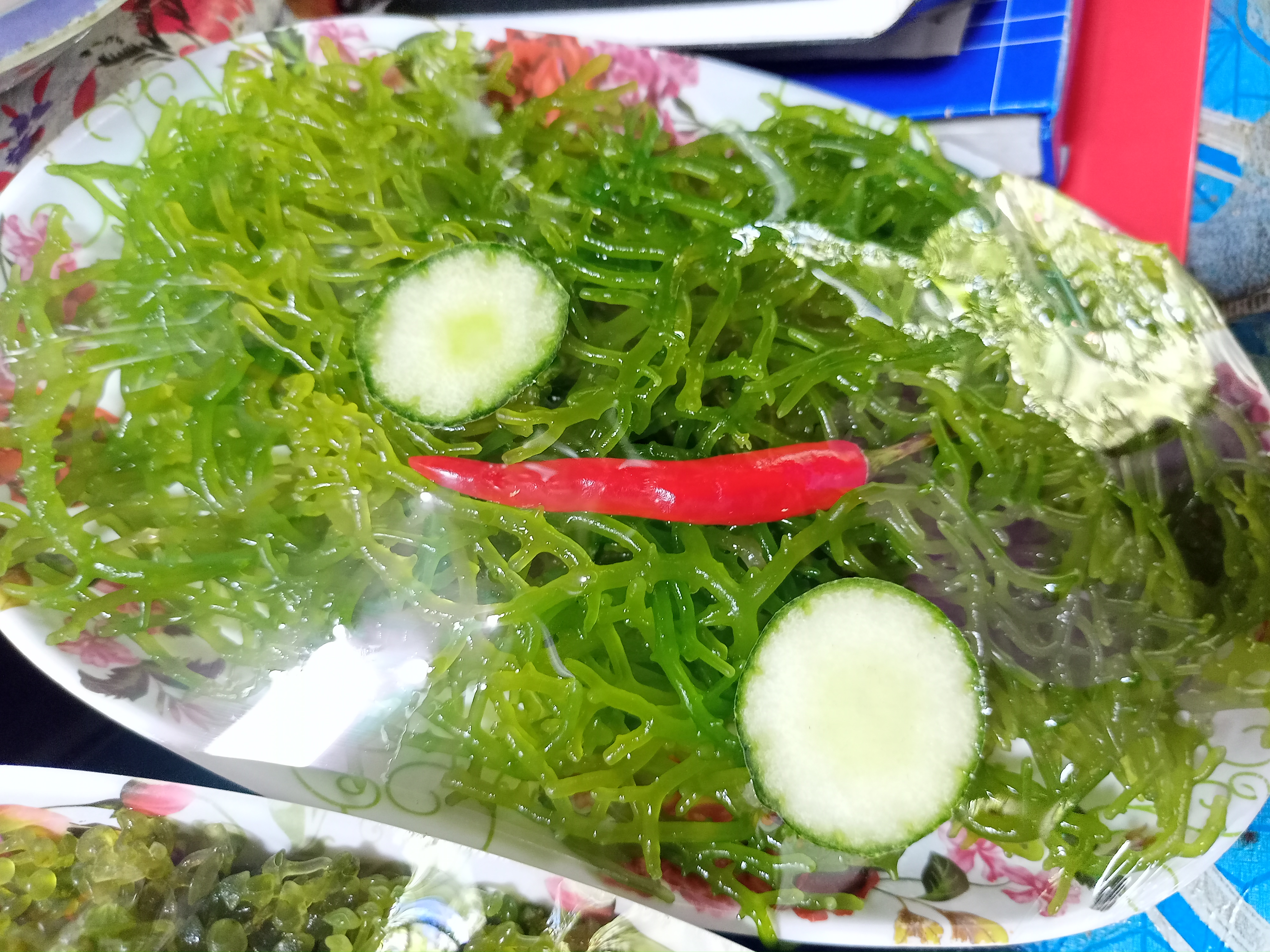 IMG20250415110159.jpg