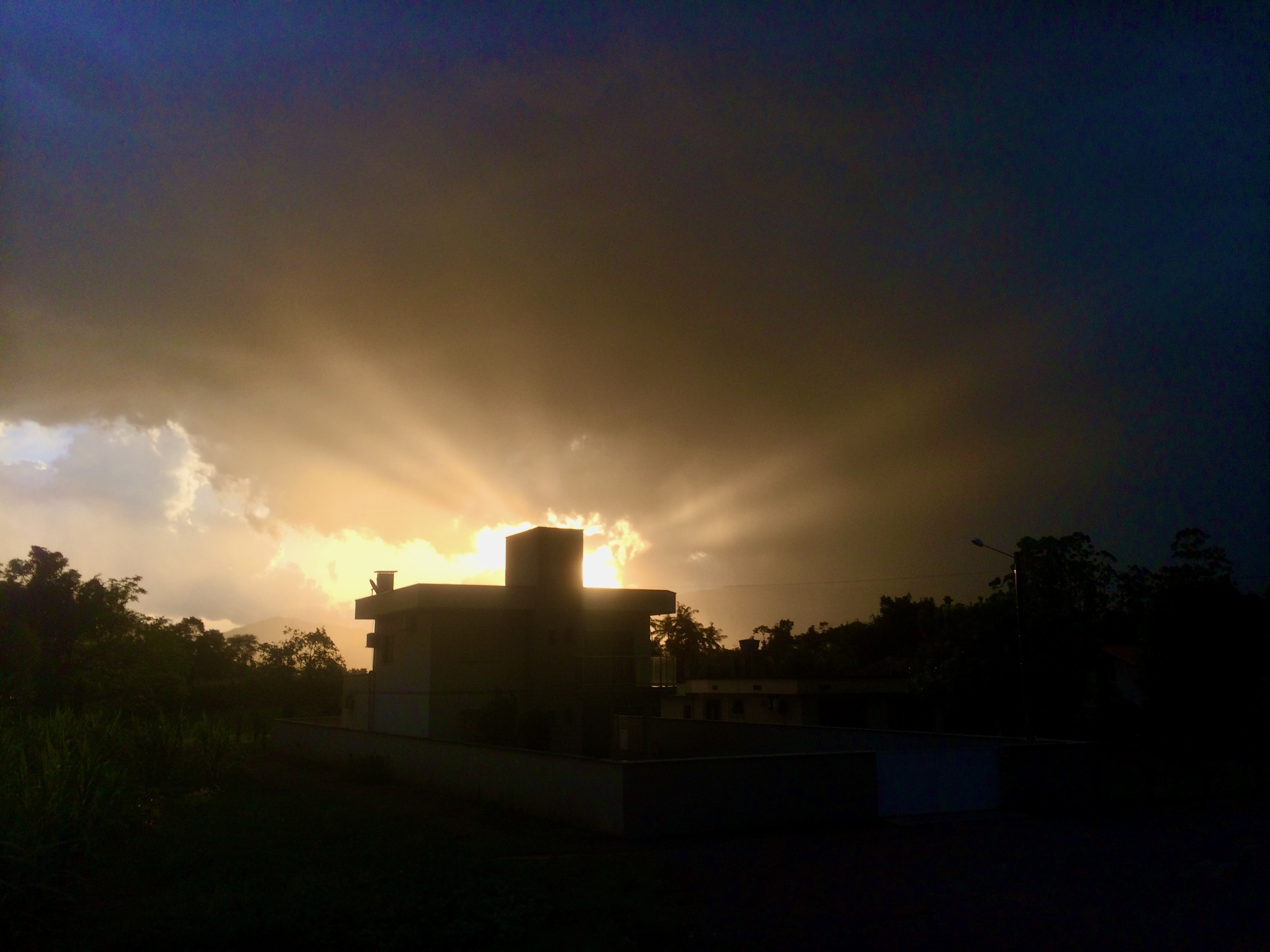 IMG_3450.jpeg