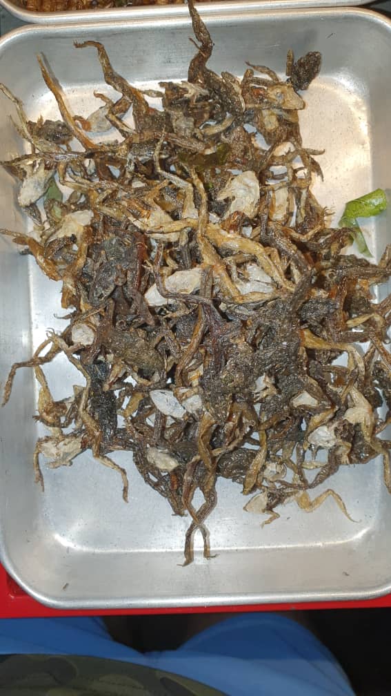 insect food of thialand  (8).jpeg