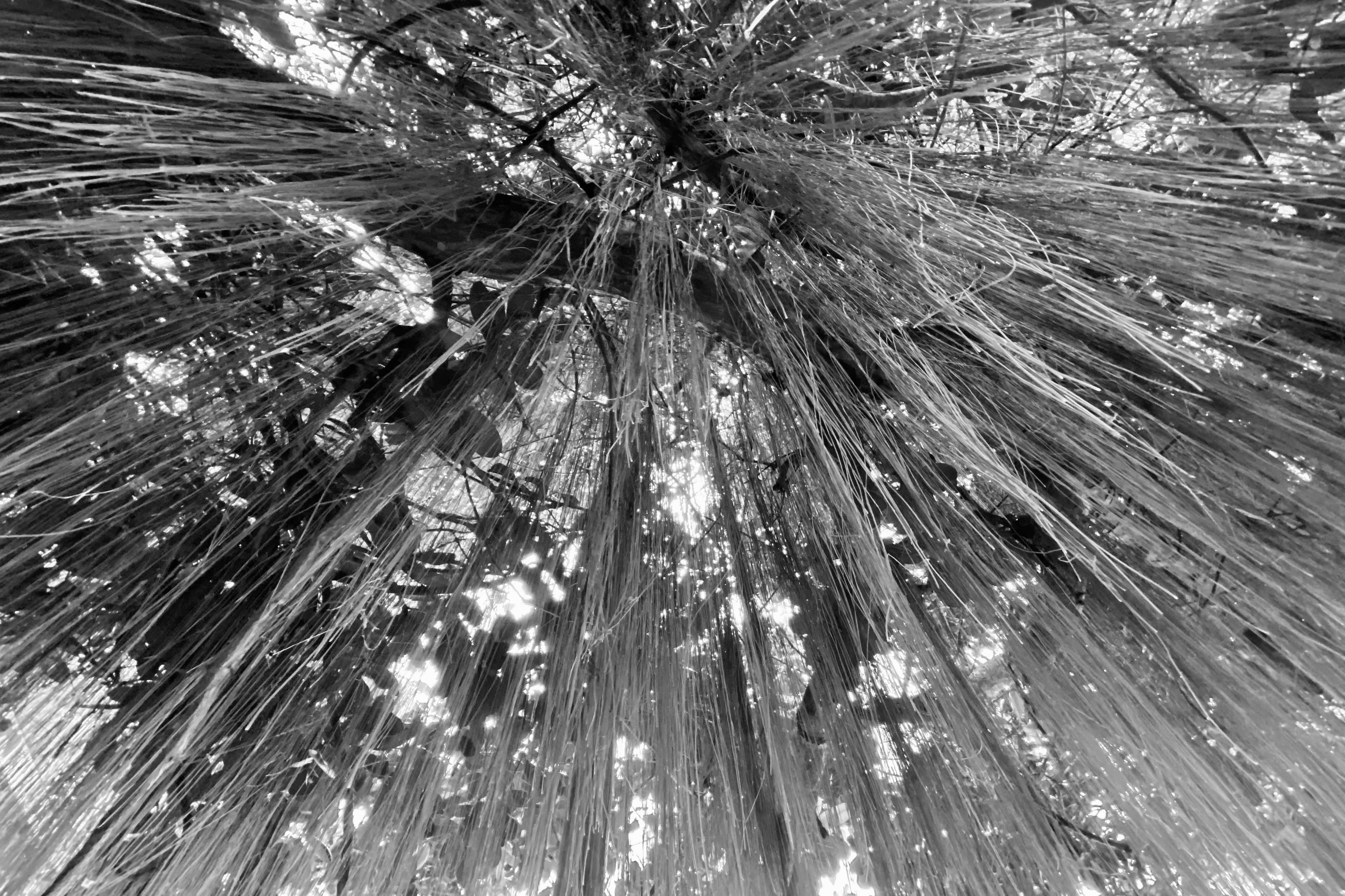 image00003-46-min.jpeg