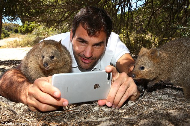 federer.jpg