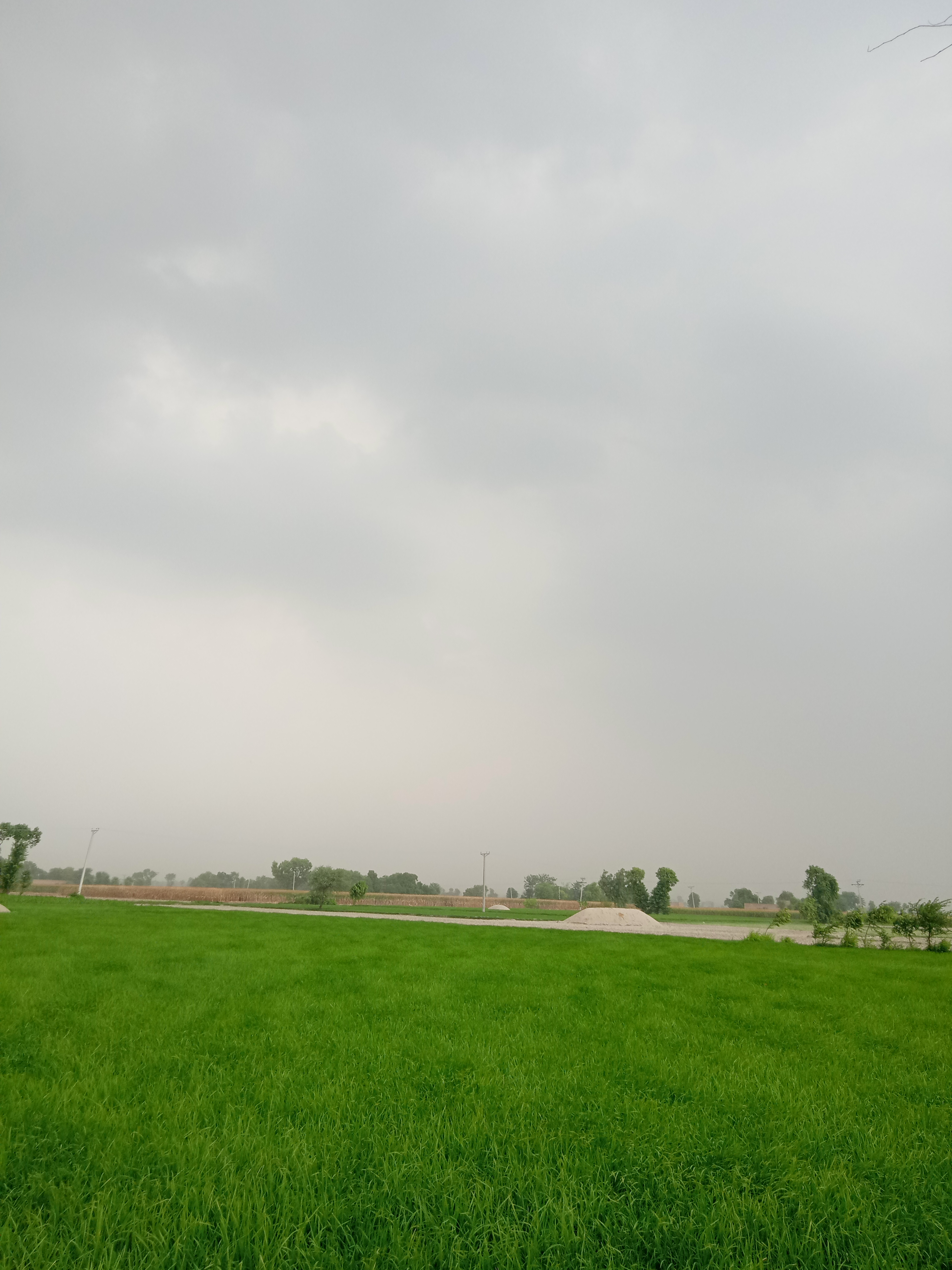 IMG20210615092443.jpg