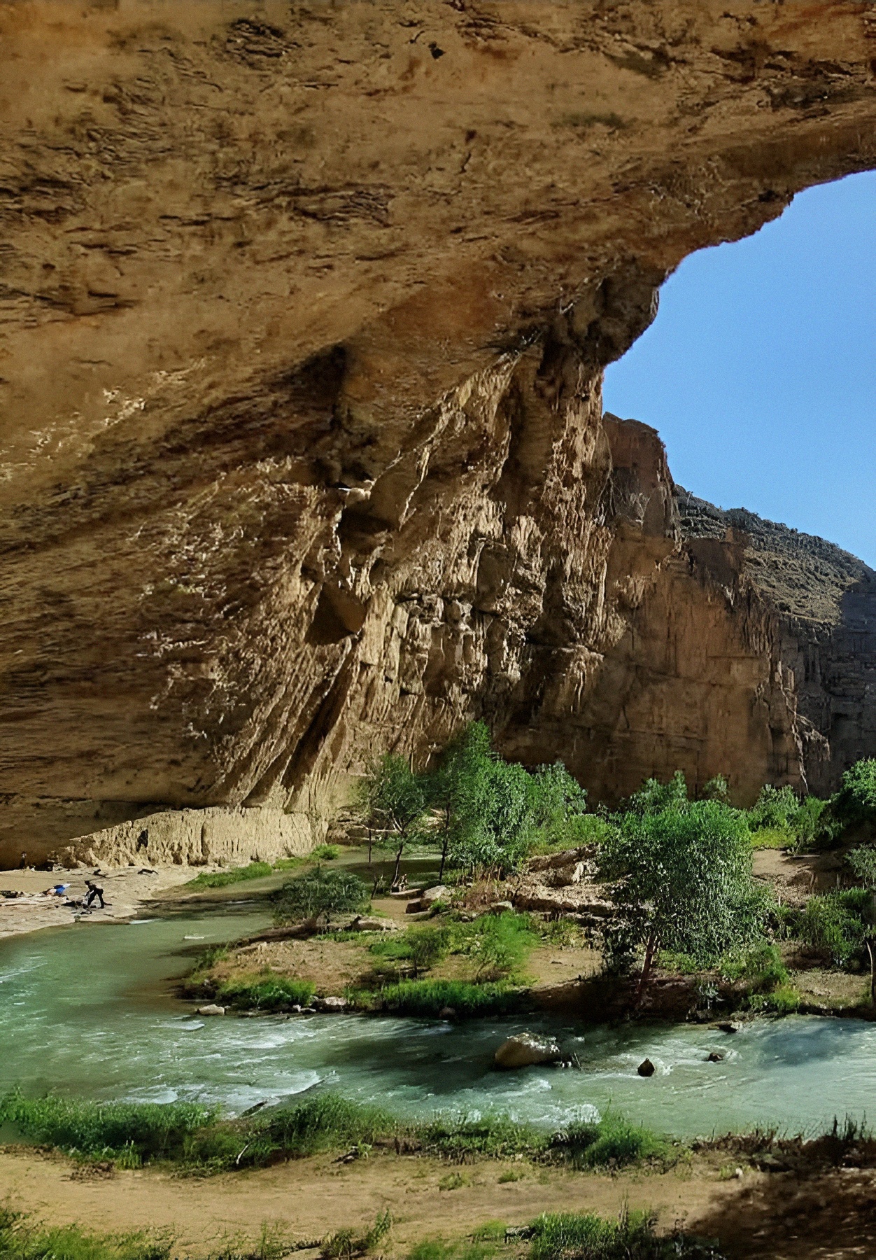 1755593743207_vmkey7_2_0.jpg