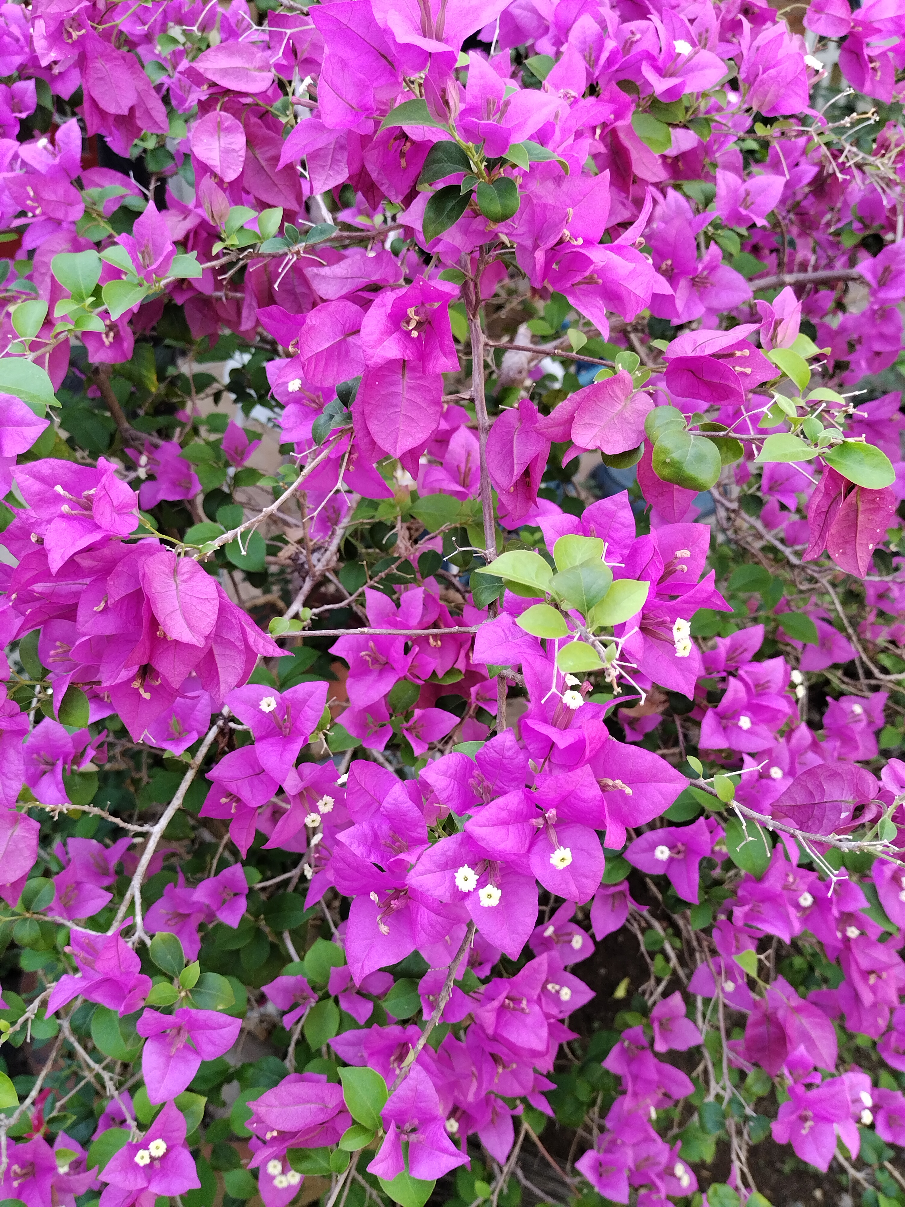 IMG_20230306_151733.jpg