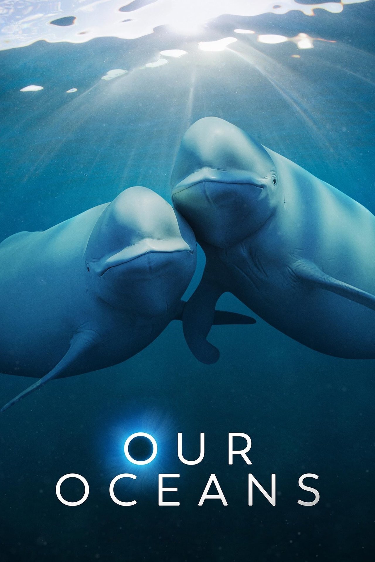 our oceans poster.jpg