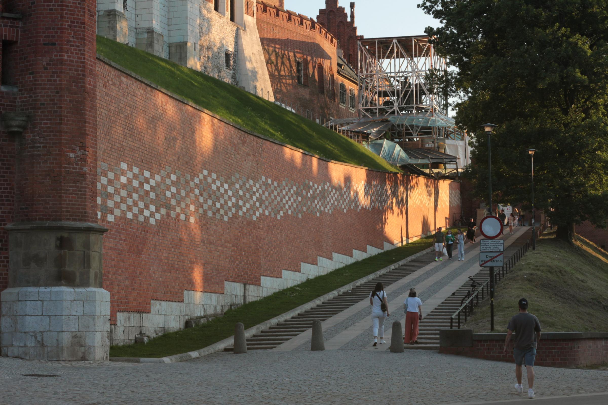 IMG_7377-crop.JPG
