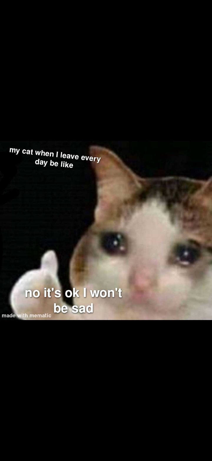 The Same Crying Cat Meme Every Day