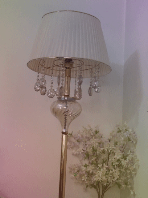 20230607_144118.gif