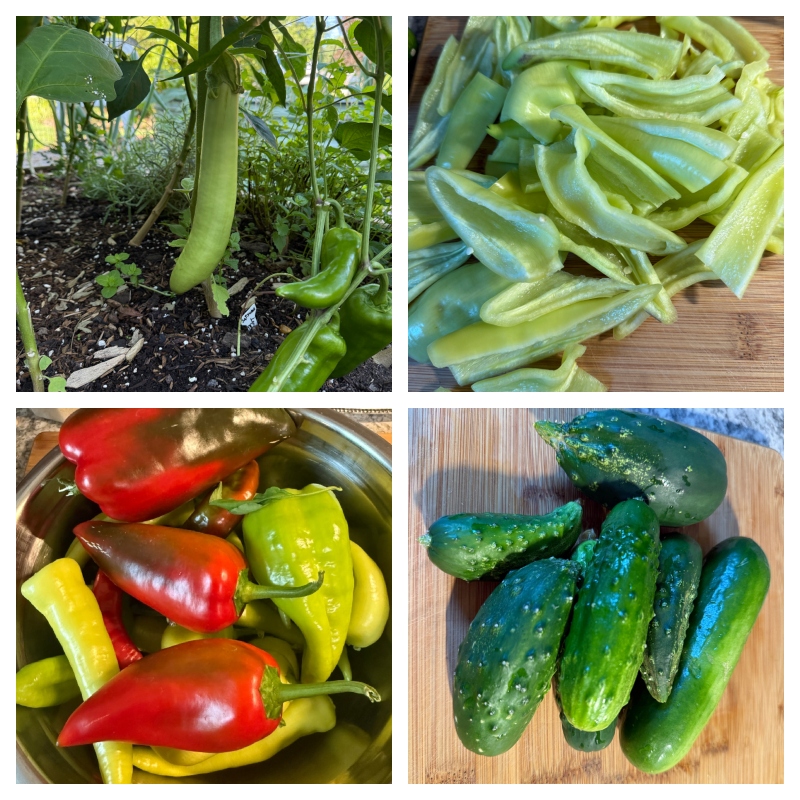 hivegarden-journal-veggies.jpg