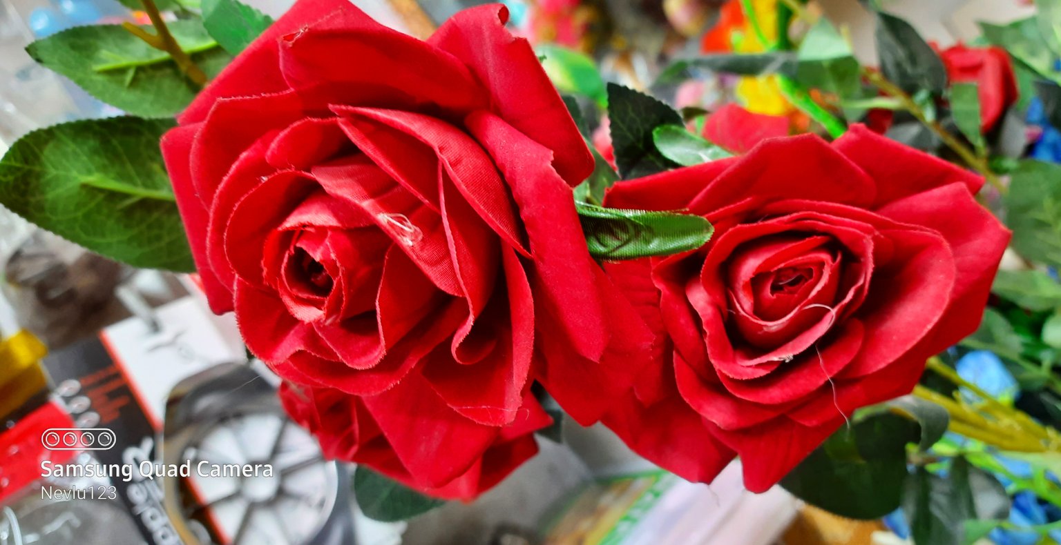 3jpR3paJ37V8JxyWvtbhvcm5k3roJwHBR4WTALx7XaoRovY9E6BsRVULpPPCcwCGjcDeNSi547qo41oSWV1rWtVA86L6xkm9CjLjKo54iHY7TZ4YDmYwBMTp1ZDjp4Yo3T6RL.jpeg