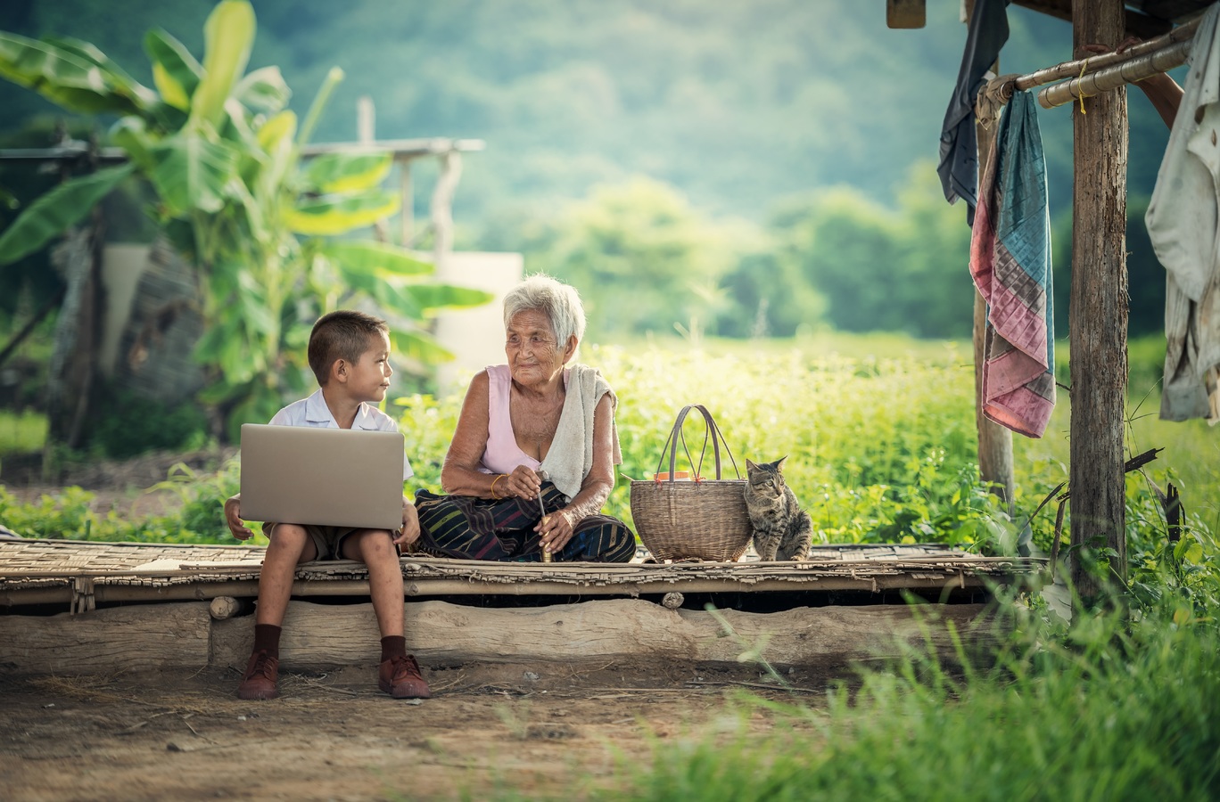 laptop-nature.jpg