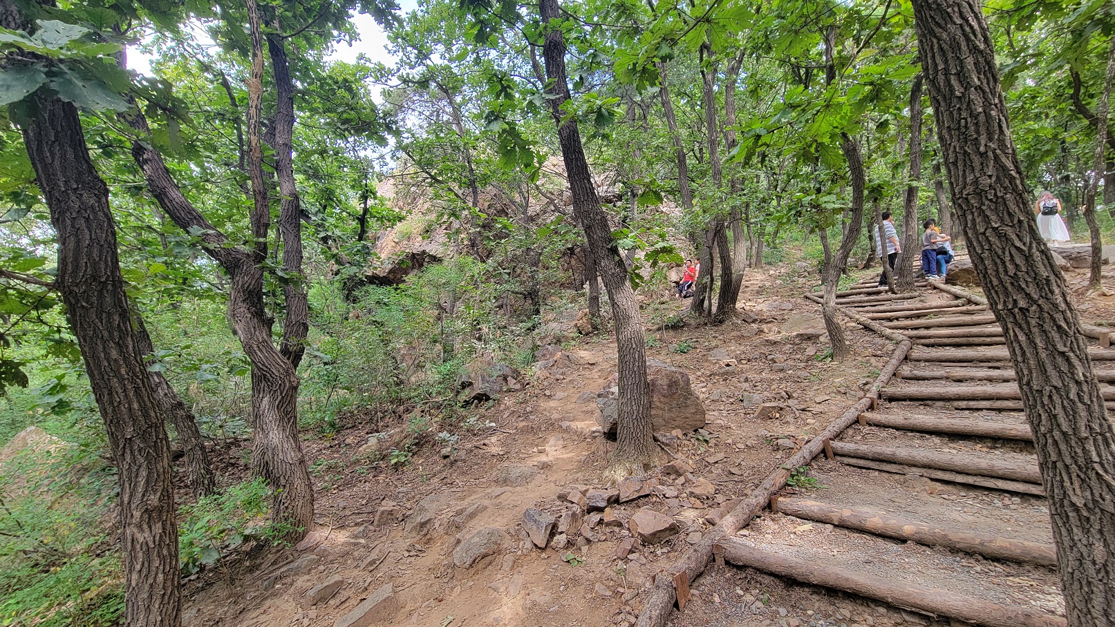 20220910_114712.jpg