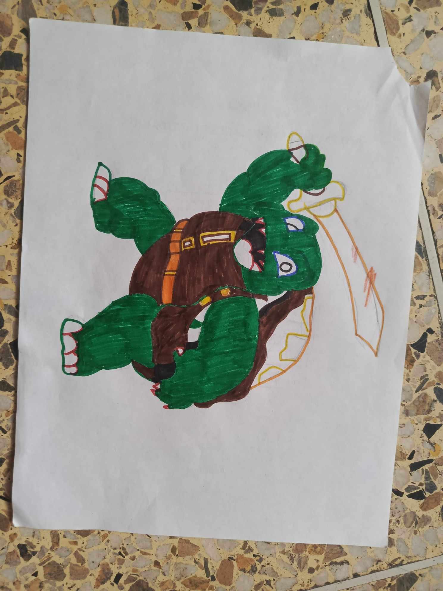 turtle4.jpg