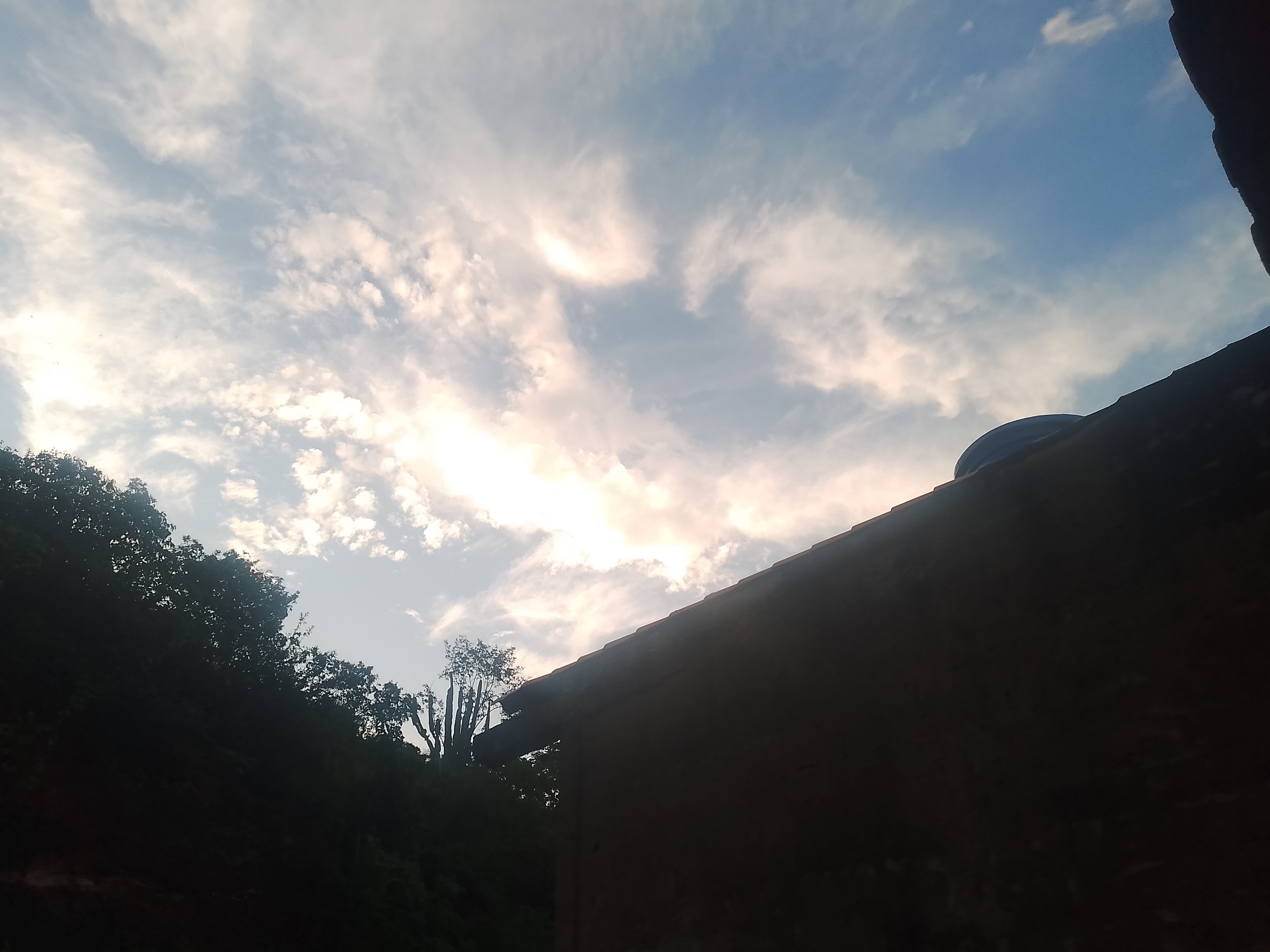 IMG_20250825_181138_760.jpg