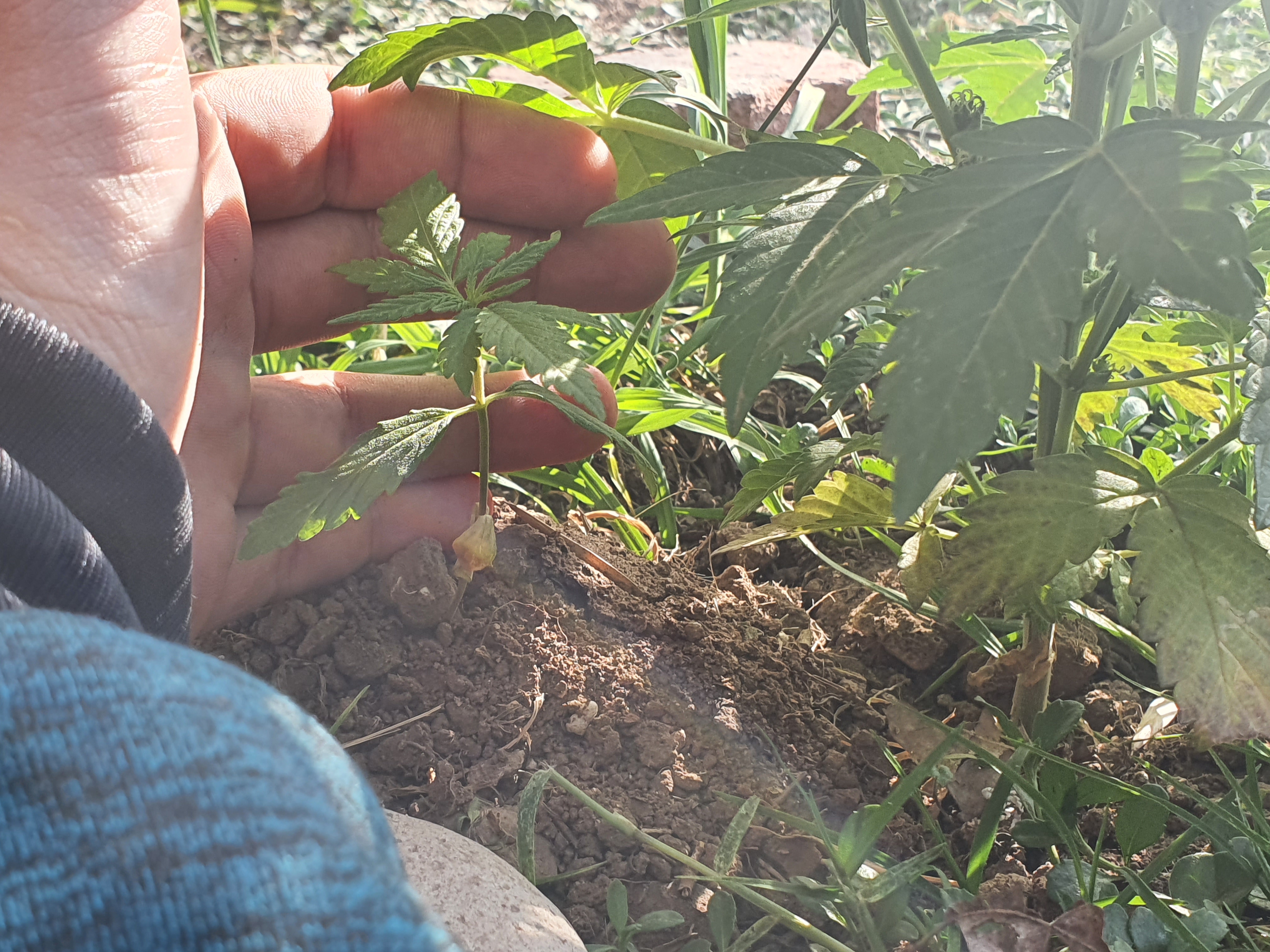 20220817_161813.jpg