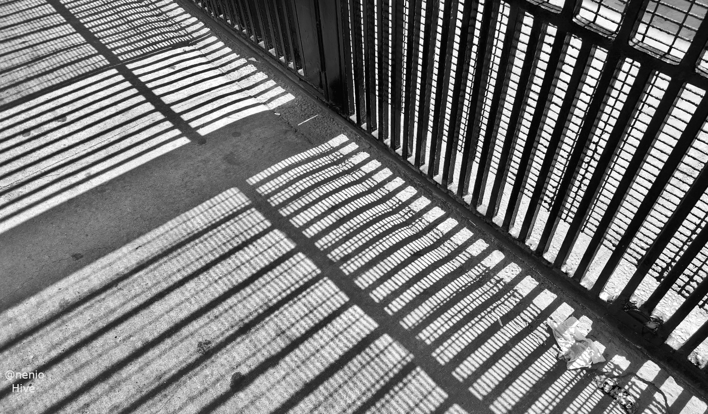 shadows-fence-016-bw..jpg