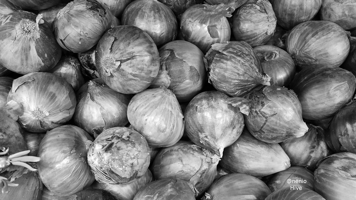 onions-005-bw.jpg