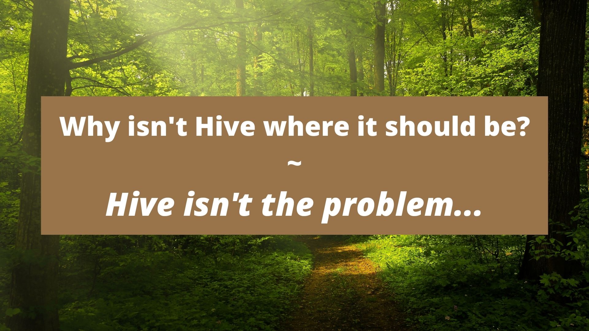 Hive isnt the problem.jpg