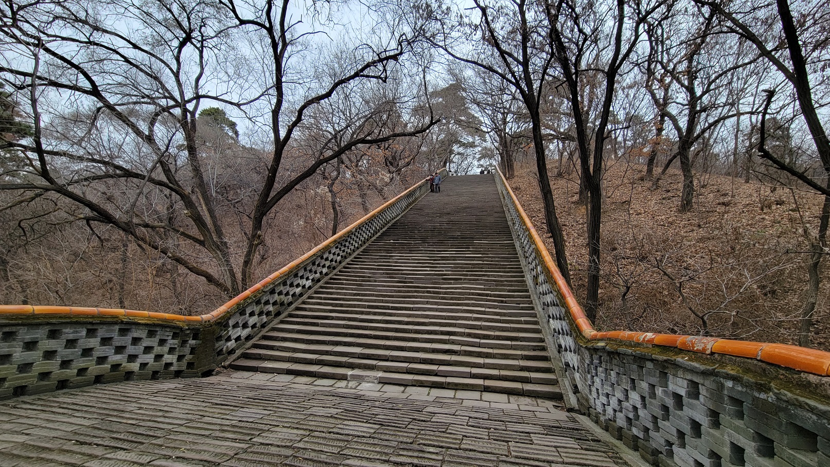 20221119_122755.jpg