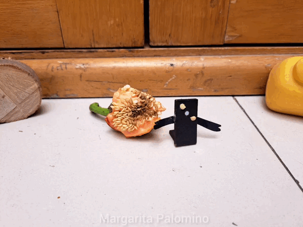 1000006368.gif