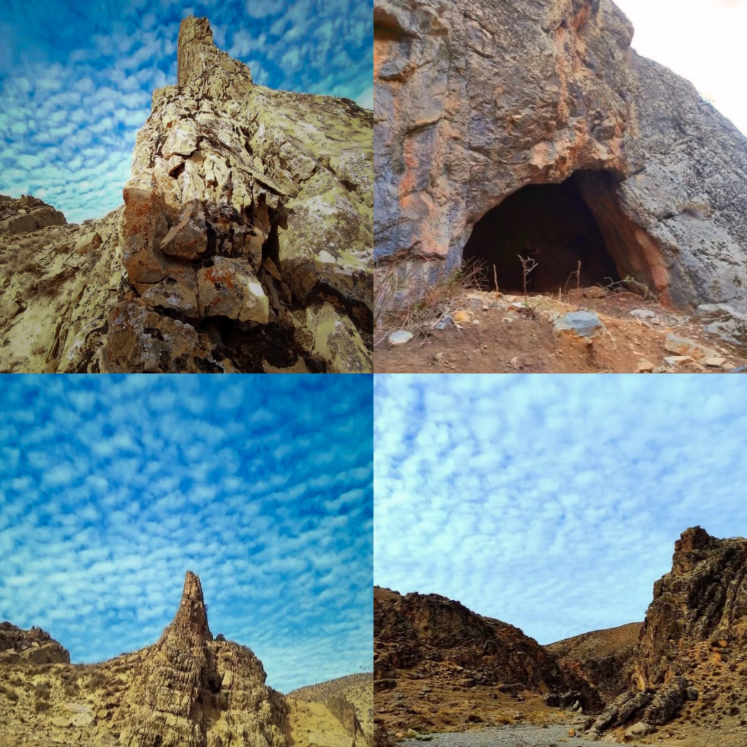 PhotoCollage_1751638052563.jpg