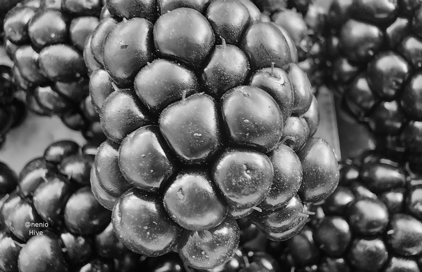 moras-003-bw.jpg