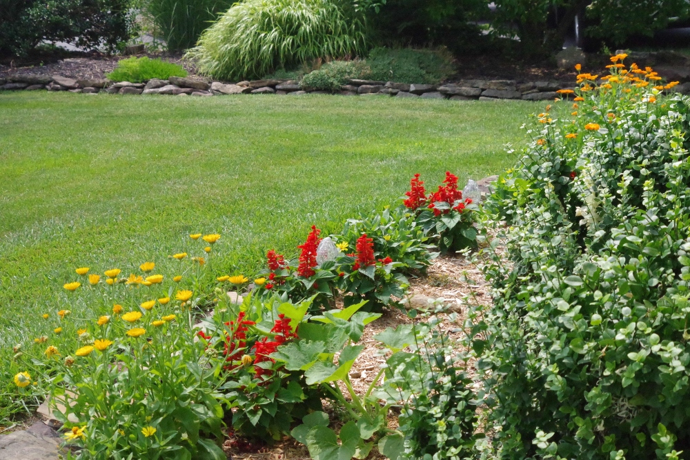 hive-garden-photography-flowers-daylily-j.jpg