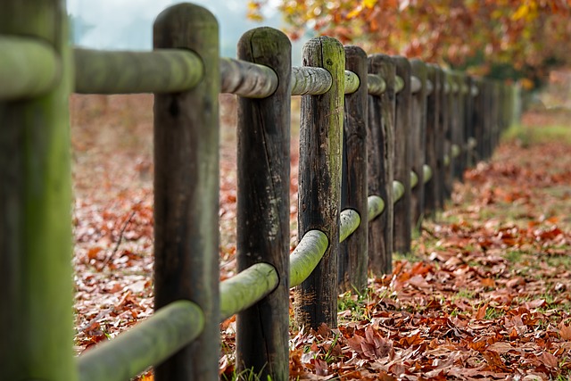 fence-posts-2331414_640.jpg