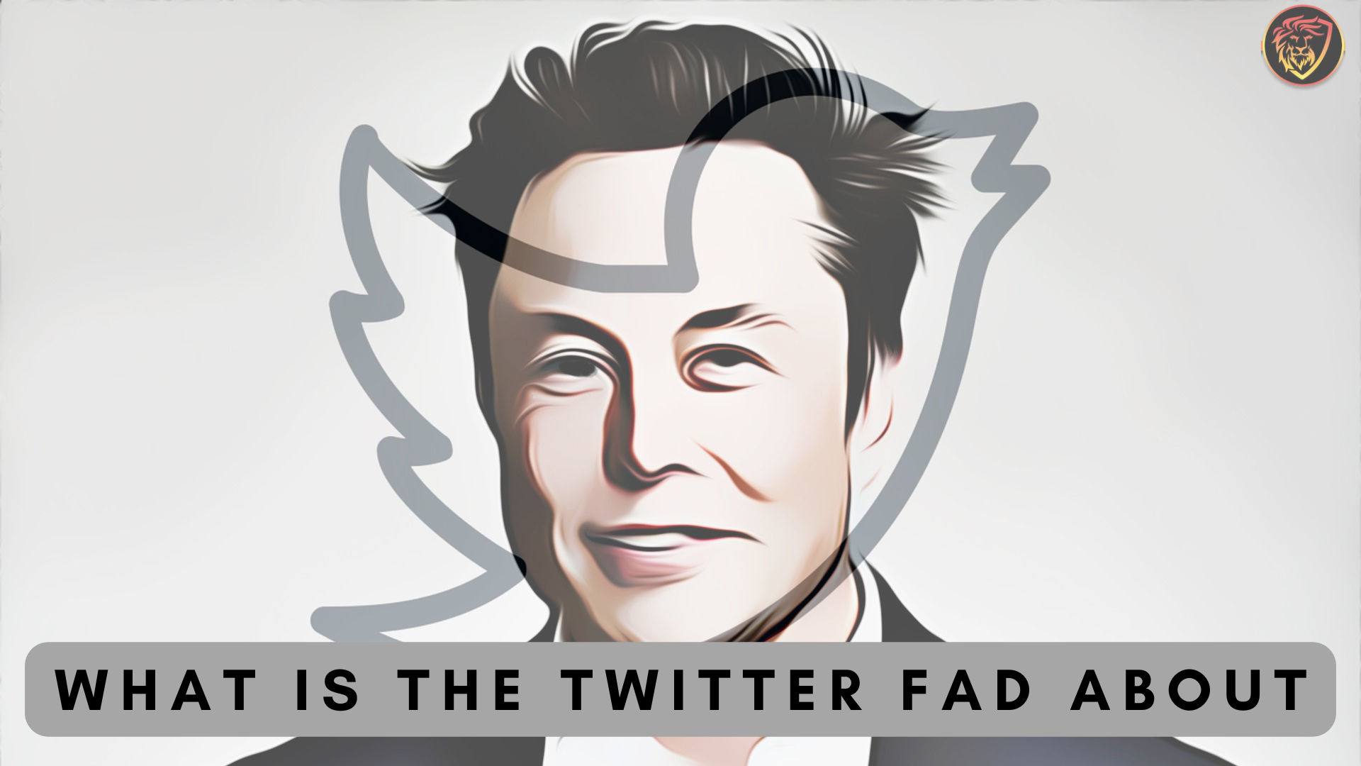 Copy of zestimony 1.png