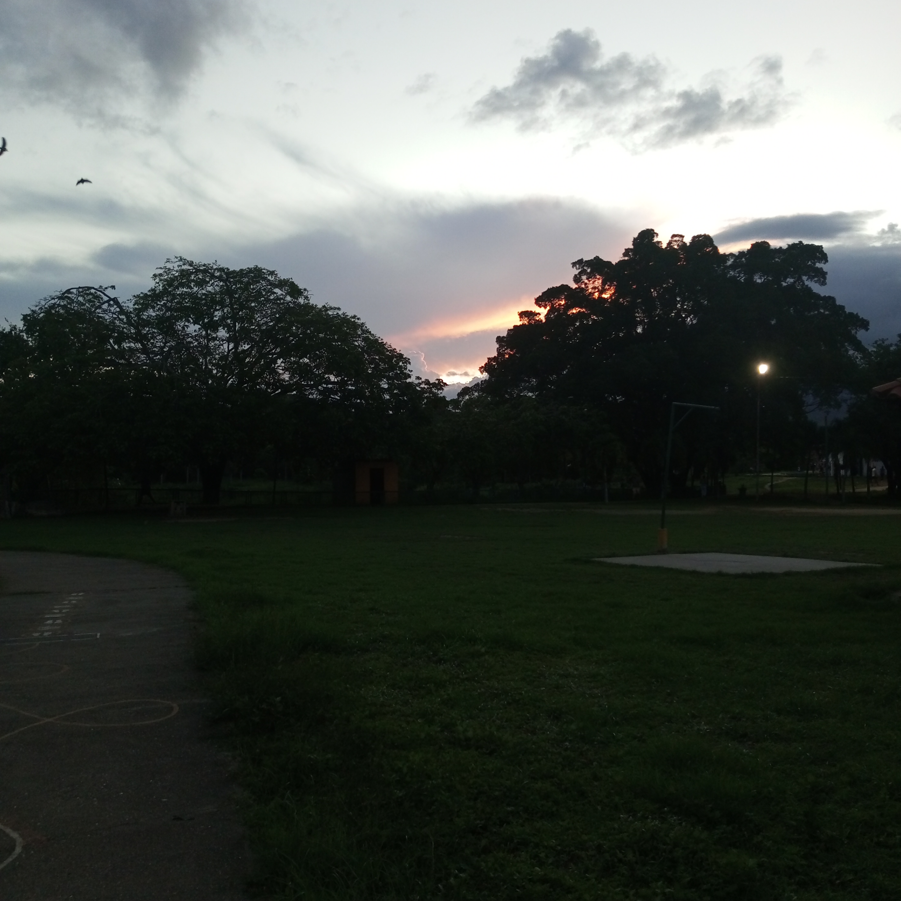 IMG_20240617_185628_985.jpg